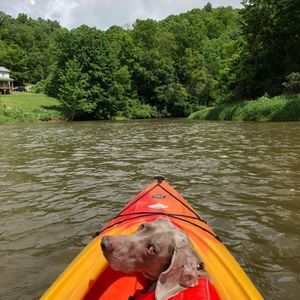 Meet your Posher, Sonya